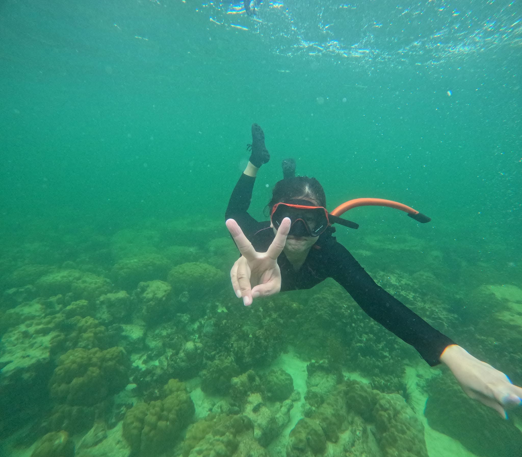 A traveller wearing a mask and snorkel makes a peace sign while swimming above a coral reef. 一位戴着面镜和呼吸管的游客在珊瑚礁上方游泳，并对着镜头比出胜利手势。